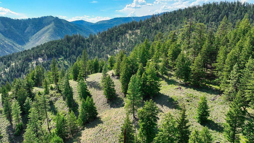 Nhn Switchback Ranch, Alberton, MT 59820 photo 40