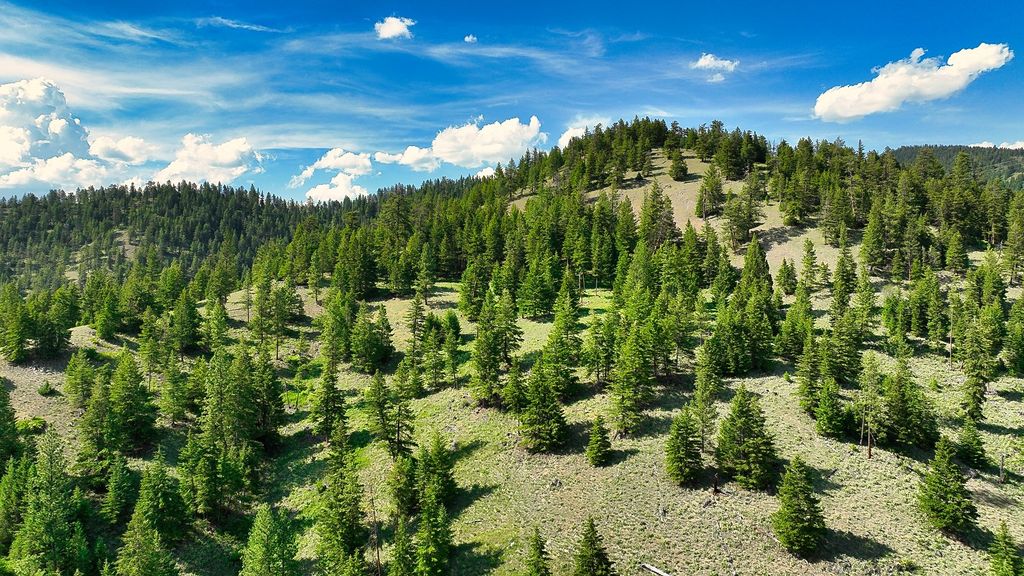 Nhn Switchback Ranch, Alberton, MT 59820 photo 41