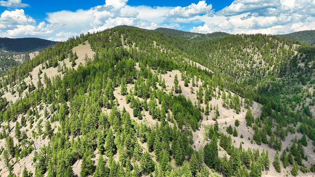 Nhn Switchback Ranch, Alberton, MT 59820 photo 43