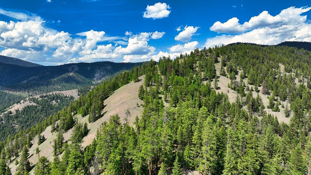 Nhn Switchback Ranch, Alberton, MT 59820 photo 45