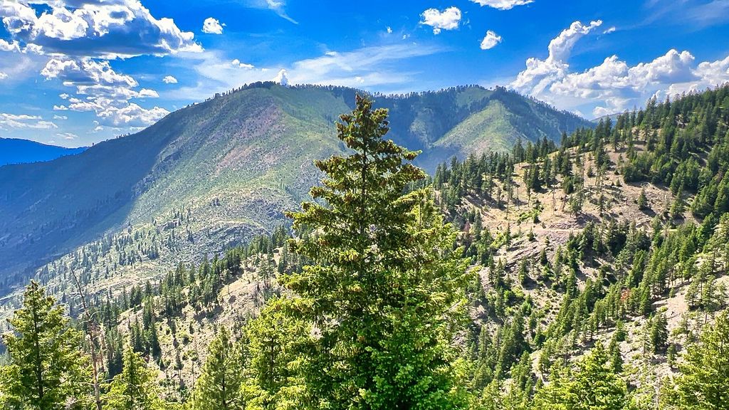 Nhn Switchback Ranch, Alberton, MT 59820 photo 46