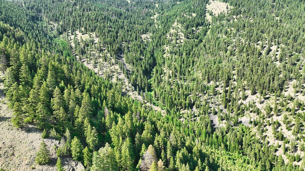 Nhn Switchback Ranch, Alberton, MT 59820 photo 48