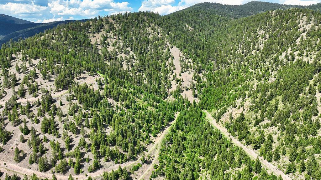 Nhn Switchback Ranch, Alberton, MT 59820 photo 49