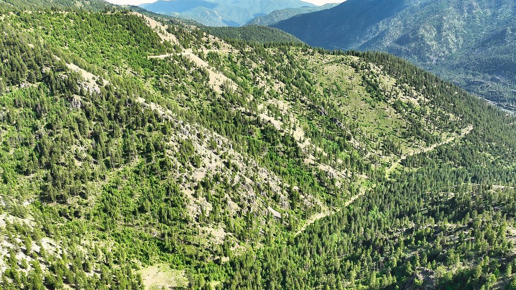 Nhn Switchback Ranch, Alberton, MT 59820 photo 5