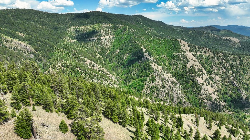 Nhn Switchback Ranch, Alberton, MT 59820 photo 51