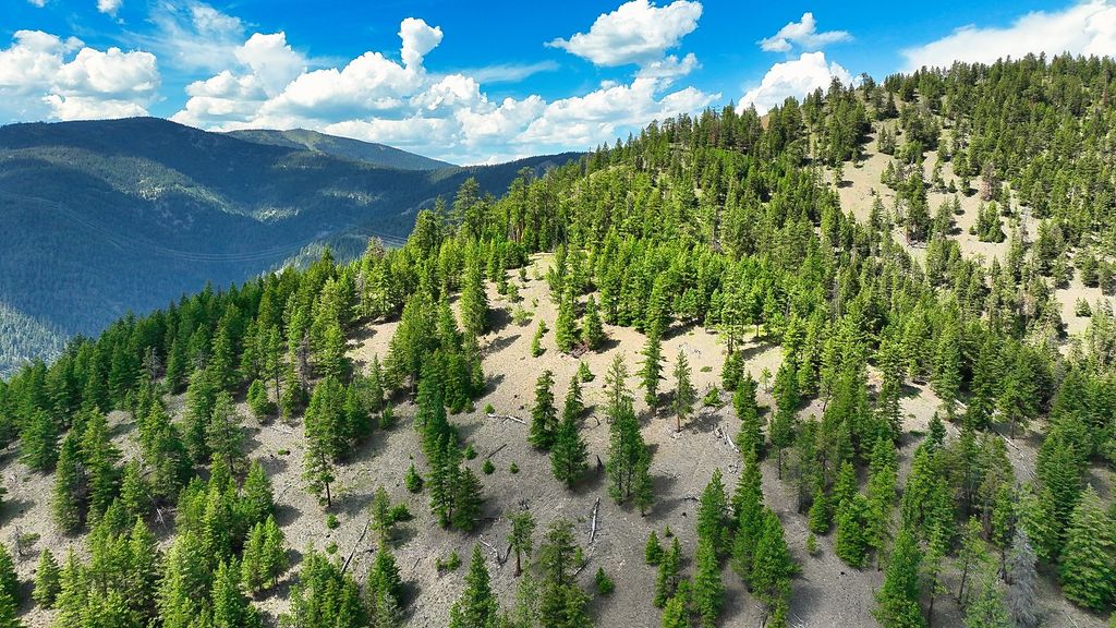 Nhn Switchback Ranch, Alberton, MT 59820 photo 52