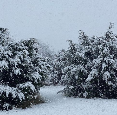 144 Emerald Drive, Weatherford, TX 76087