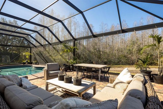 19817 GLAZING GLOBE LANE, Lutz, FL 33558