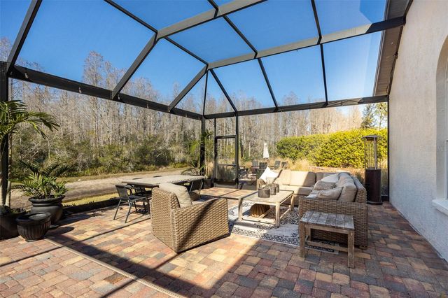 19817 GLAZING GLOBE LANE, Lutz, FL 33558