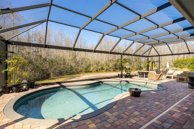 19817 GLAZING GLOBE LANE, Lutz, FL 33558