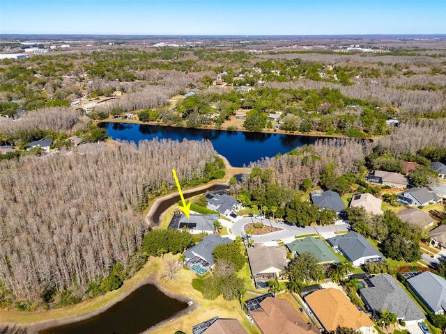 19817 GLAZING GLOBE LANE, Lutz, FL 33558