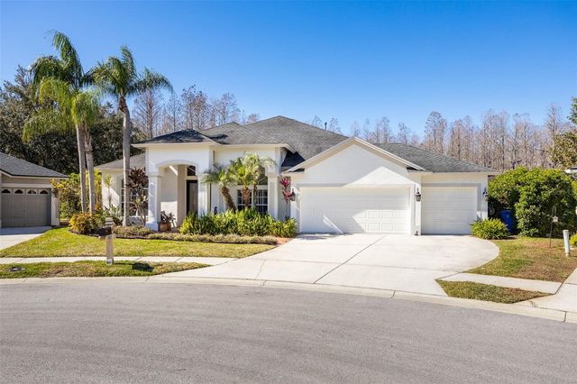 19817 GLAZING GLOBE LANE, Lutz, FL 33558