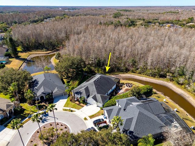 19817 GLAZING GLOBE LANE, Lutz, FL 33558