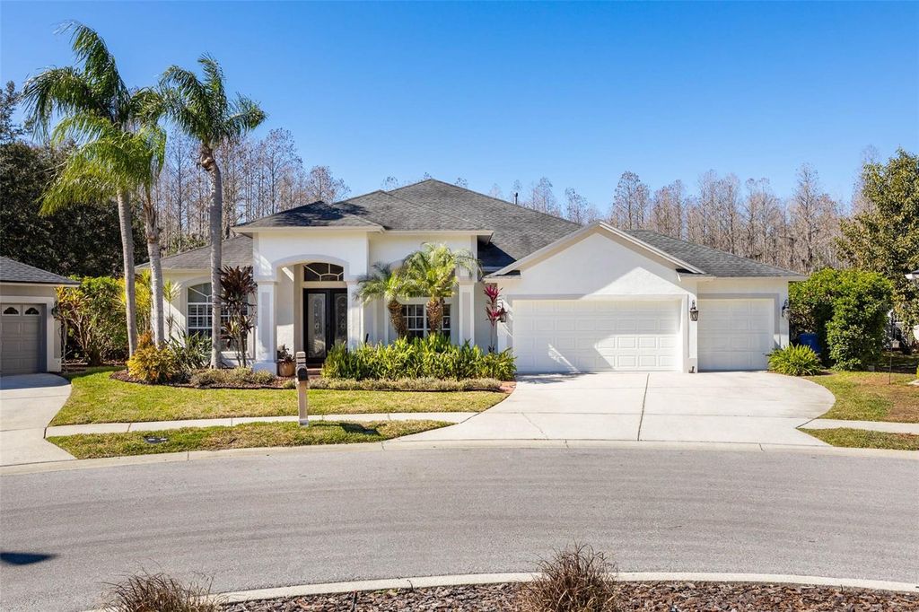 19817 GLAZING GLOBE LANE, Lutz, FL 33558