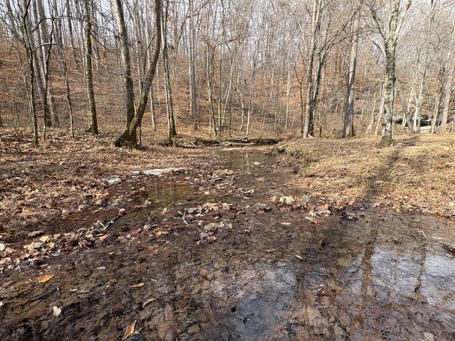 298 Leonard Jackson Rd, Waynesboro, TN 38485