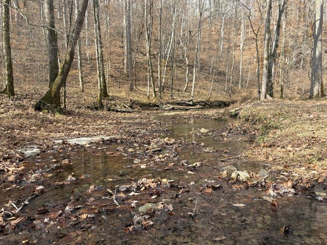 298 Leonard Jackson Rd, Waynesboro, TN 38485