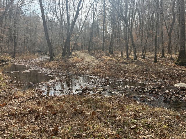 298 Leonard Jackson Rd, Waynesboro, TN 38485