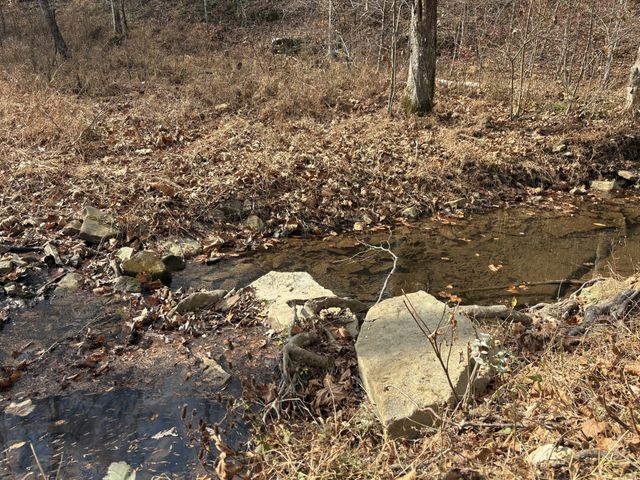 298 Leonard Jackson Rd, Waynesboro, TN 38485