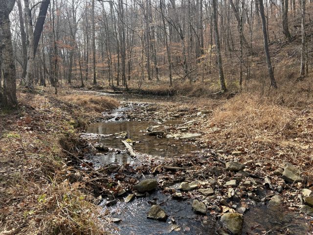 298 Leonard Jackson Rd, Waynesboro, TN 38485