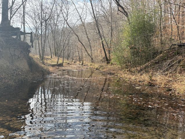 298 Leonard Jackson Rd, Waynesboro, TN 38485