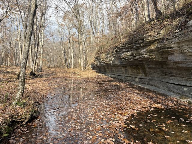 298 Leonard Jackson Rd, Waynesboro, TN 38485