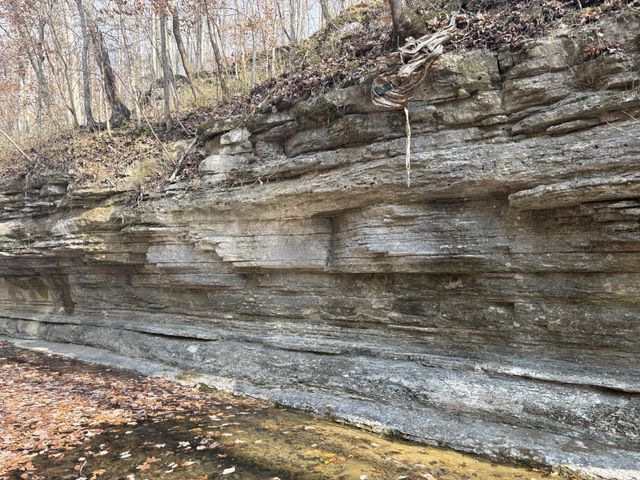 298 Leonard Jackson Rd, Waynesboro, TN 38485