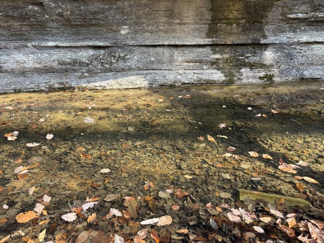 298 Leonard Jackson Rd, Waynesboro, TN 38485