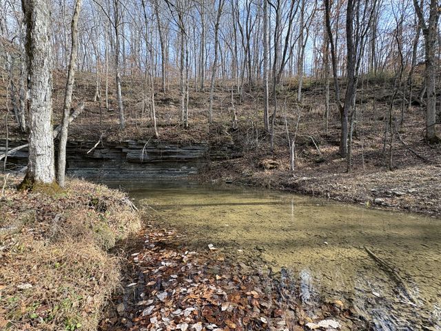 298 Leonard Jackson Rd, Waynesboro, TN 38485