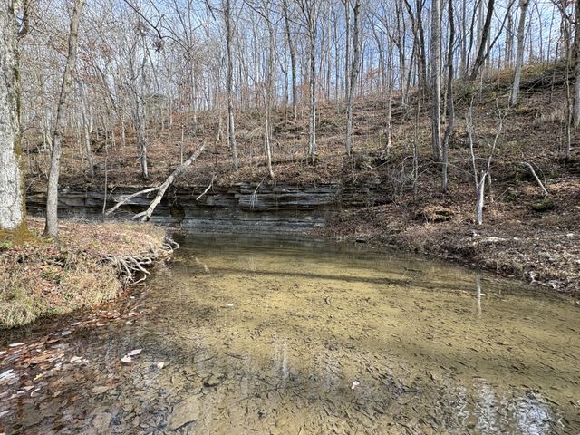 298 Leonard Jackson Rd, Waynesboro, TN 38485