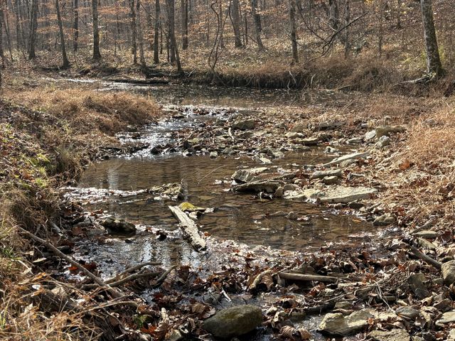 298 Leonard Jackson Rd, Waynesboro, TN 38485