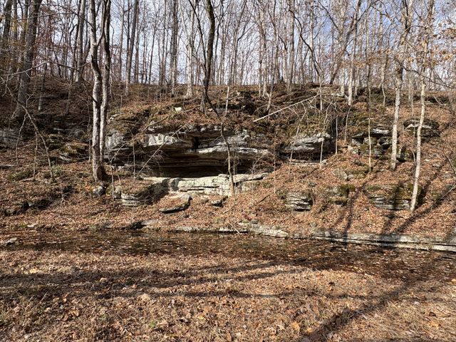 298 Leonard Jackson Rd, Waynesboro, TN 38485