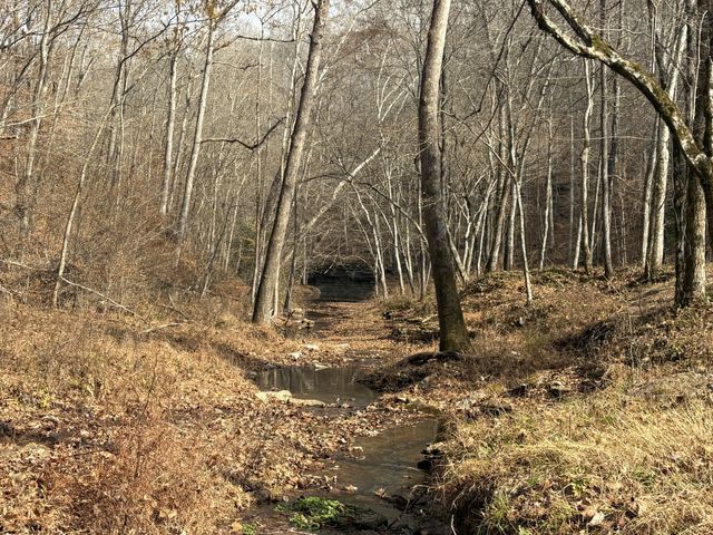 298 Leonard Jackson Rd, Waynesboro, TN 38485