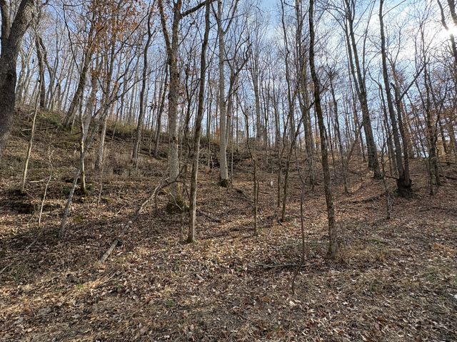 298 Leonard Jackson Rd, Waynesboro, TN 38485