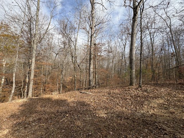 298 Leonard Jackson Rd, Waynesboro, TN 38485