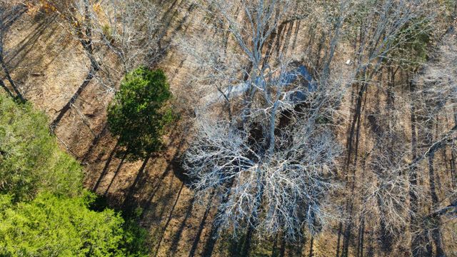 298 Leonard Jackson Rd, Waynesboro, TN 38485