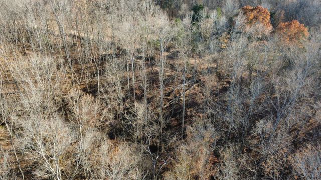 298 Leonard Jackson Rd, Waynesboro, TN 38485