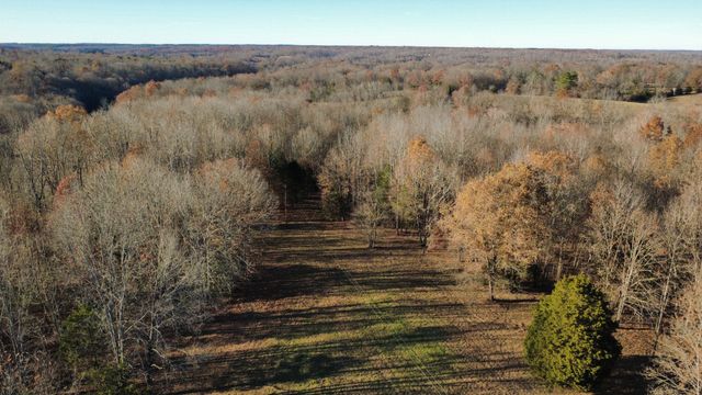 298 Leonard Jackson Rd, Waynesboro, TN 38485