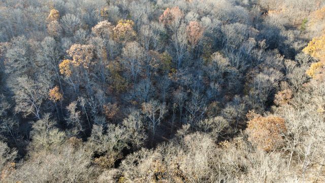 298 Leonard Jackson Rd, Waynesboro, TN 38485