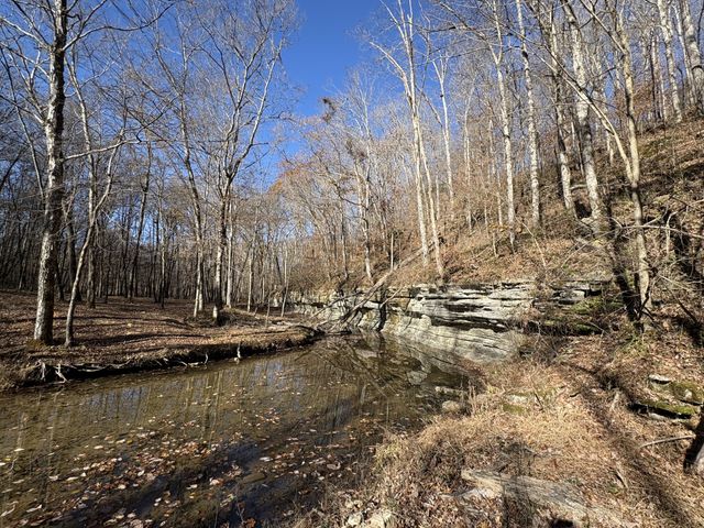 298 Leonard Jackson Rd, Waynesboro, TN 38485