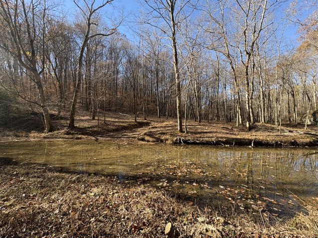 298 Leonard Jackson Rd, Waynesboro, TN 38485