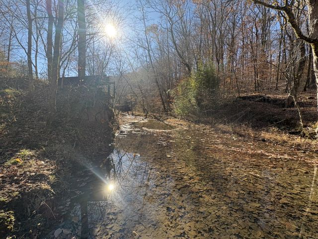 298 Leonard Jackson Rd, Waynesboro, TN 38485