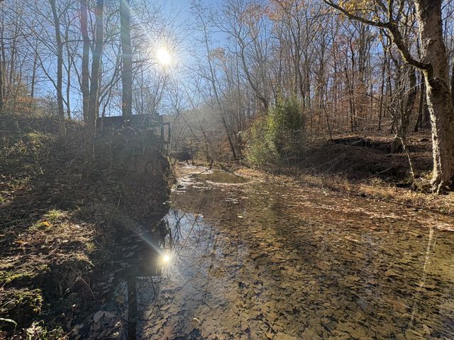 298 Leonard Jackson Rd, Waynesboro, TN 38485