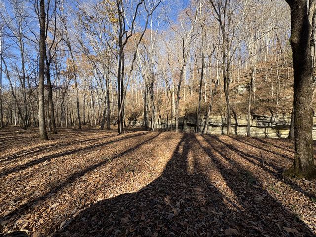 298 Leonard Jackson Rd, Waynesboro, TN 38485