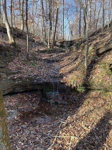 298 Leonard Jackson Rd, Waynesboro, TN 38485