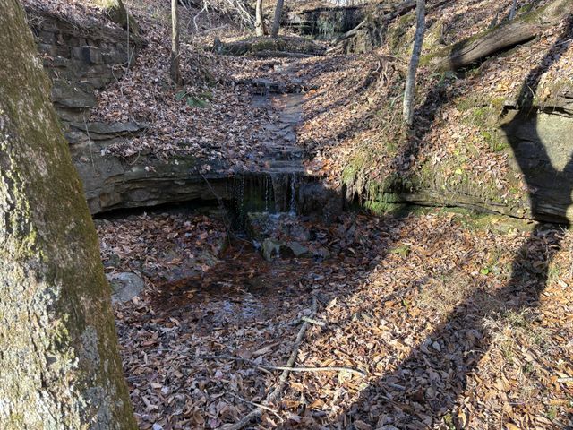 298 Leonard Jackson Rd, Waynesboro, TN 38485