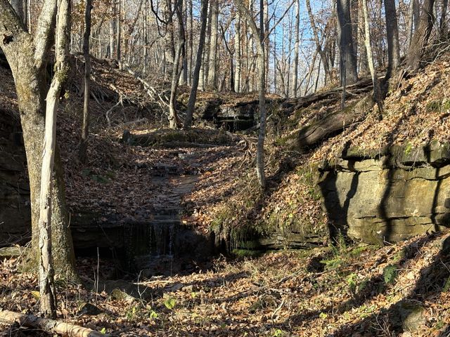 298 Leonard Jackson Rd, Waynesboro, TN 38485