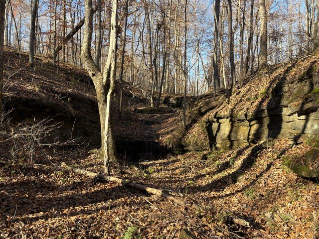 298 Leonard Jackson Rd, Waynesboro, TN 38485