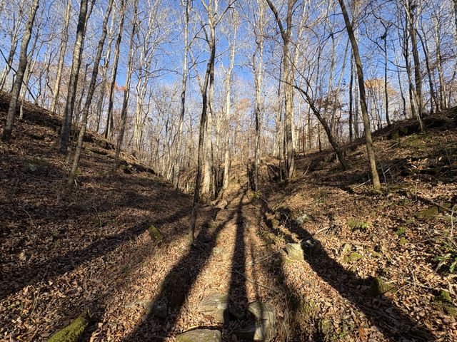 298 Leonard Jackson Rd, Waynesboro, TN 38485