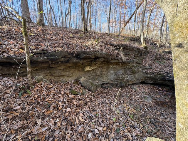 298 Leonard Jackson Rd, Waynesboro, TN 38485