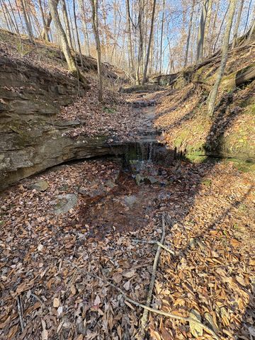 298 Leonard Jackson Rd, Waynesboro, TN 38485